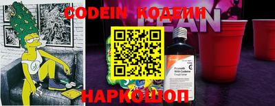apvp Кингисепп