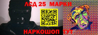 apvp Кингисепп