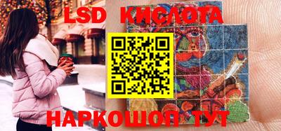 apvp Кингисепп